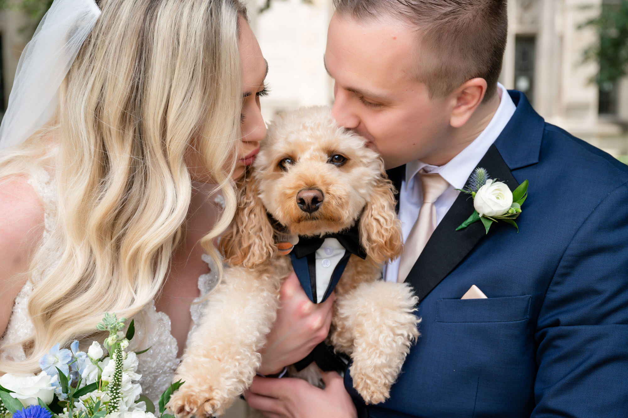 pittsburgh wedding photographers dog puppy • Leeann Marie - Pittsburgh Wedding Photographer