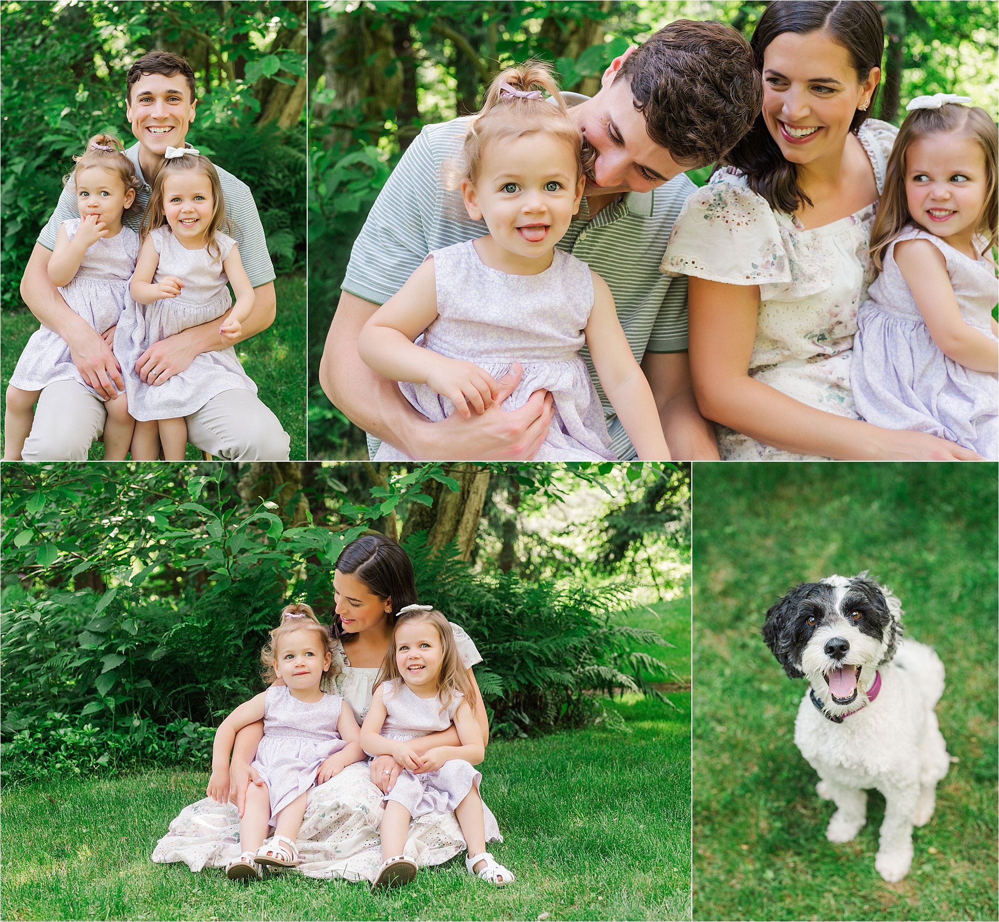 family photographer mars pa treesdale • Generation Extended Family Photography Sessions