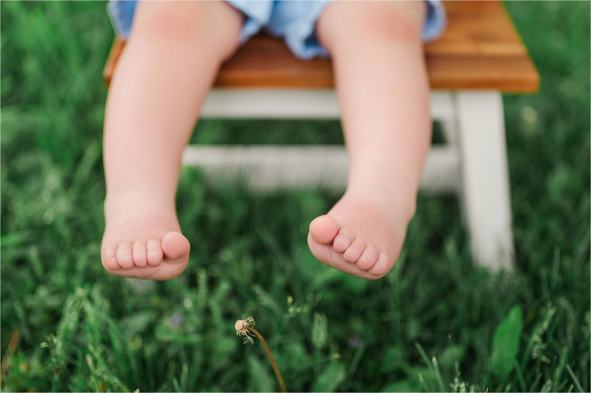 beaver county photographer • First Birthday Photos + Sister Pics!